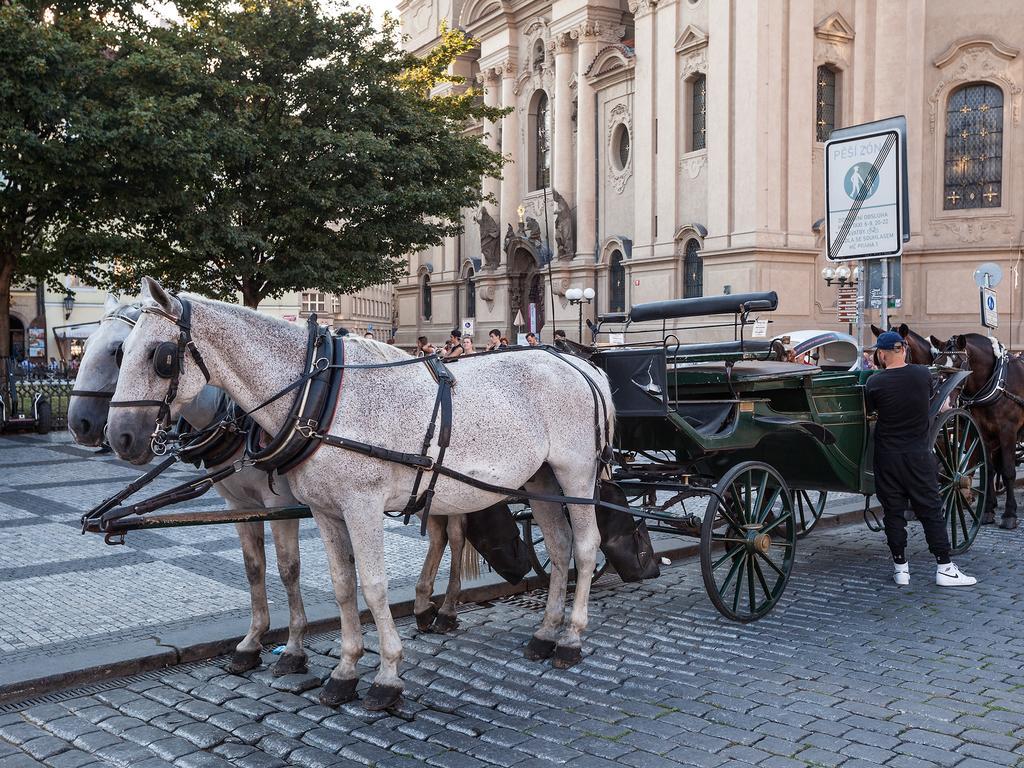 Gorgeous Prague Rooms Exterior photo